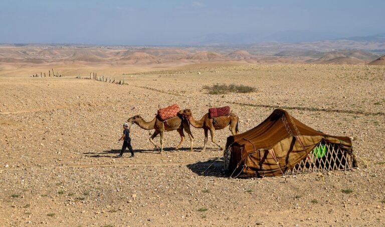 Merzouga Desert and Nomad Experience