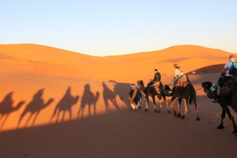 Two-Night Camel Trek in the Merzouga Desert