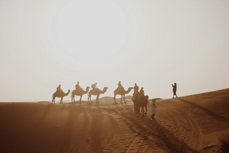 Camel Ride in Merzouga
